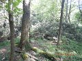-Kettle Valley-126-